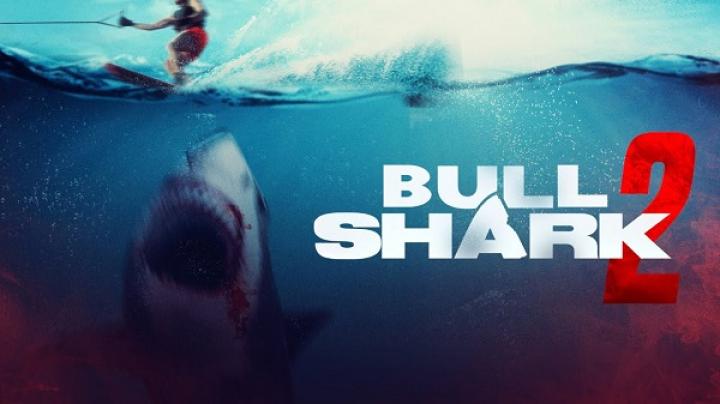 مشاهدة فيلم Bull Shark 2 2024 مترجم شاهد فور يو