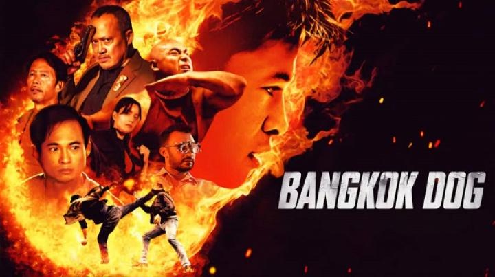 مشاهدة فيلم Bangkok Dog 2024 مترجم شاهد فور يو